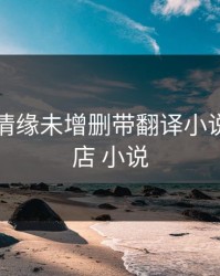 便利店情缘未增删带翻译小说，便利店 小说