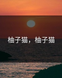 柚子猫，柚子猫