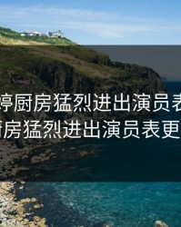 公与淑婷厨房猛烈进出演员表，公与淑婷厨房猛烈进出演员表更新时间