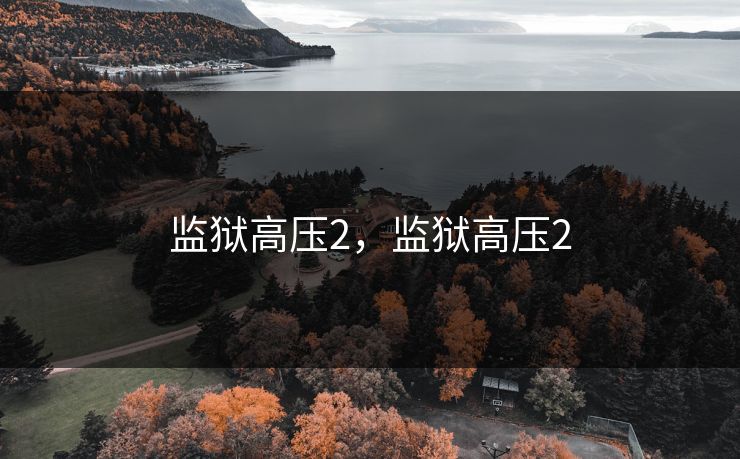 监狱高压2,监狱高压2 监狱高压2,监狱高压2