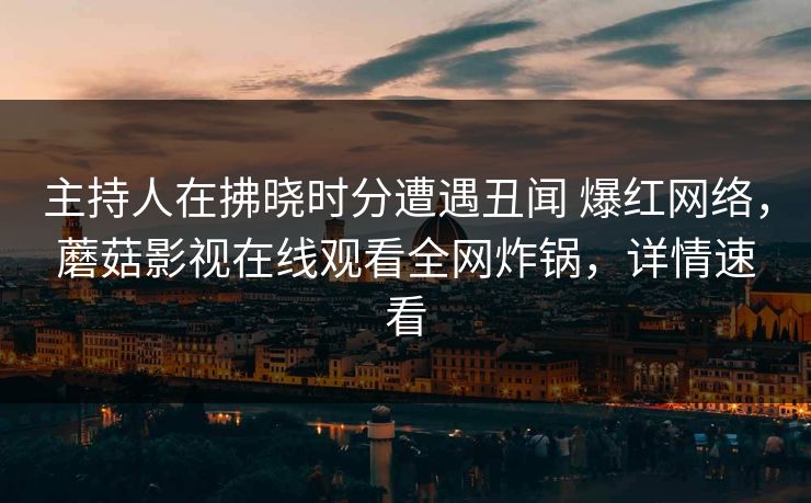 主持人在拂晓时分遭遇丑闻 爆红网络,蘑菇影视在线观看全网炸锅,详情速看 主持人在拂晓时分遭遇丑闻 爆红网络,蘑菇影视在线观看全网炸锅,详情速看